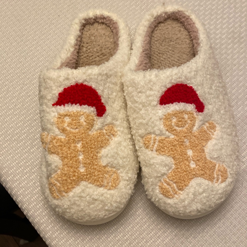 Ginger Bread Slippers